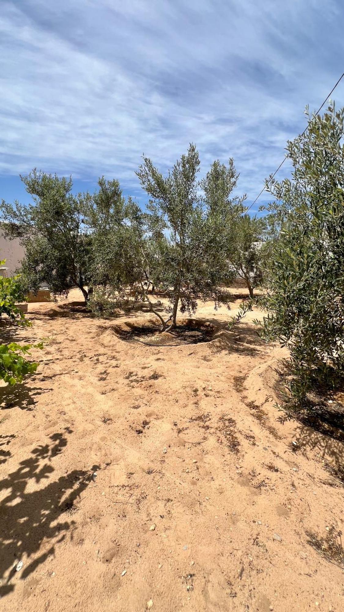 Vilă Le Domaine Djerba Piscine Chauffee Sans Vis A Vis Mezraia