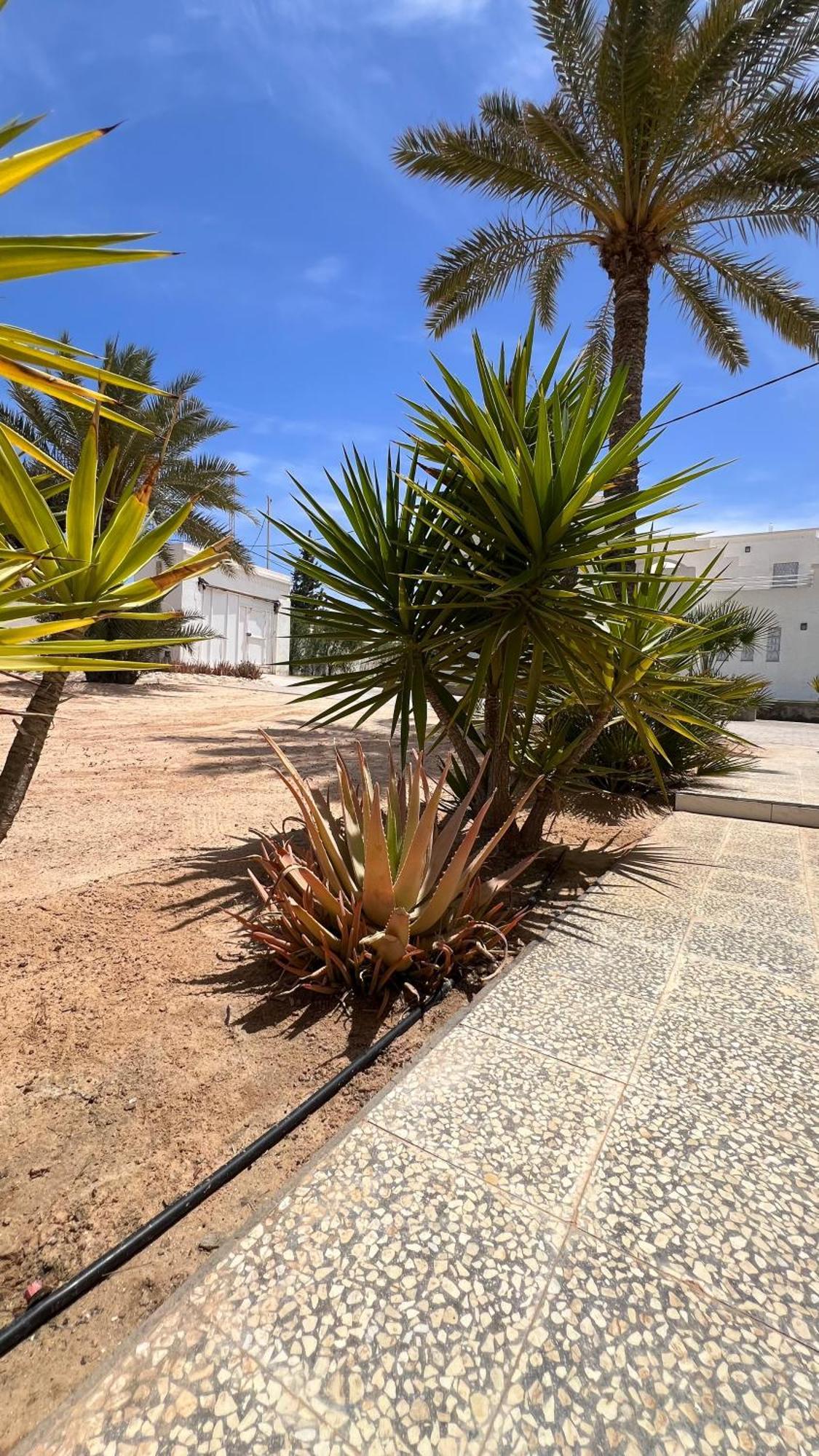 Vilă Le Domaine Djerba Piscine Chauffee Sans Vis A Vis